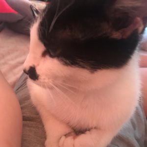 Meet your Posher, Clara